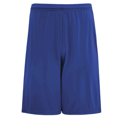 PRO TEAM SHORTS Thumbnail